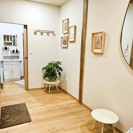 Le Cosy & Moderne - T2, Hyper Centre, Wifi Fibre, Smart Tv