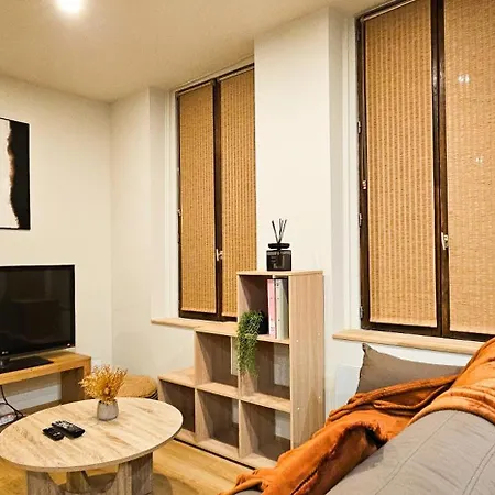 Le Cosy & Moderne - T2, Hyper Centre, Wifi Fibre, Smart Tv Apartment