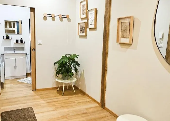 Le Cosy & Moderne - T2, Hyper Centre, Wifi Fibre, Smart Tv